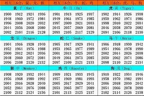 02年属相|2002年属什么命 2002年属什么生肖和什么最配